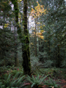 DSCN0023