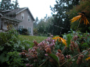DSCN0046-1