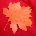 DSCN0068_edited