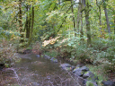 DSCN0074