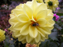 DSCN0138