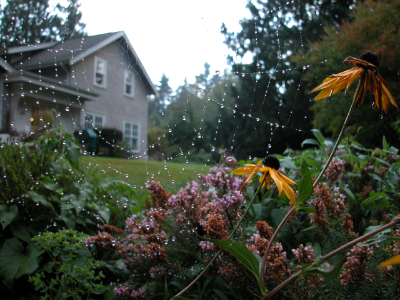 DSCN0046-1