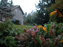 DSCN0046-1