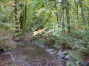 DSCN0074